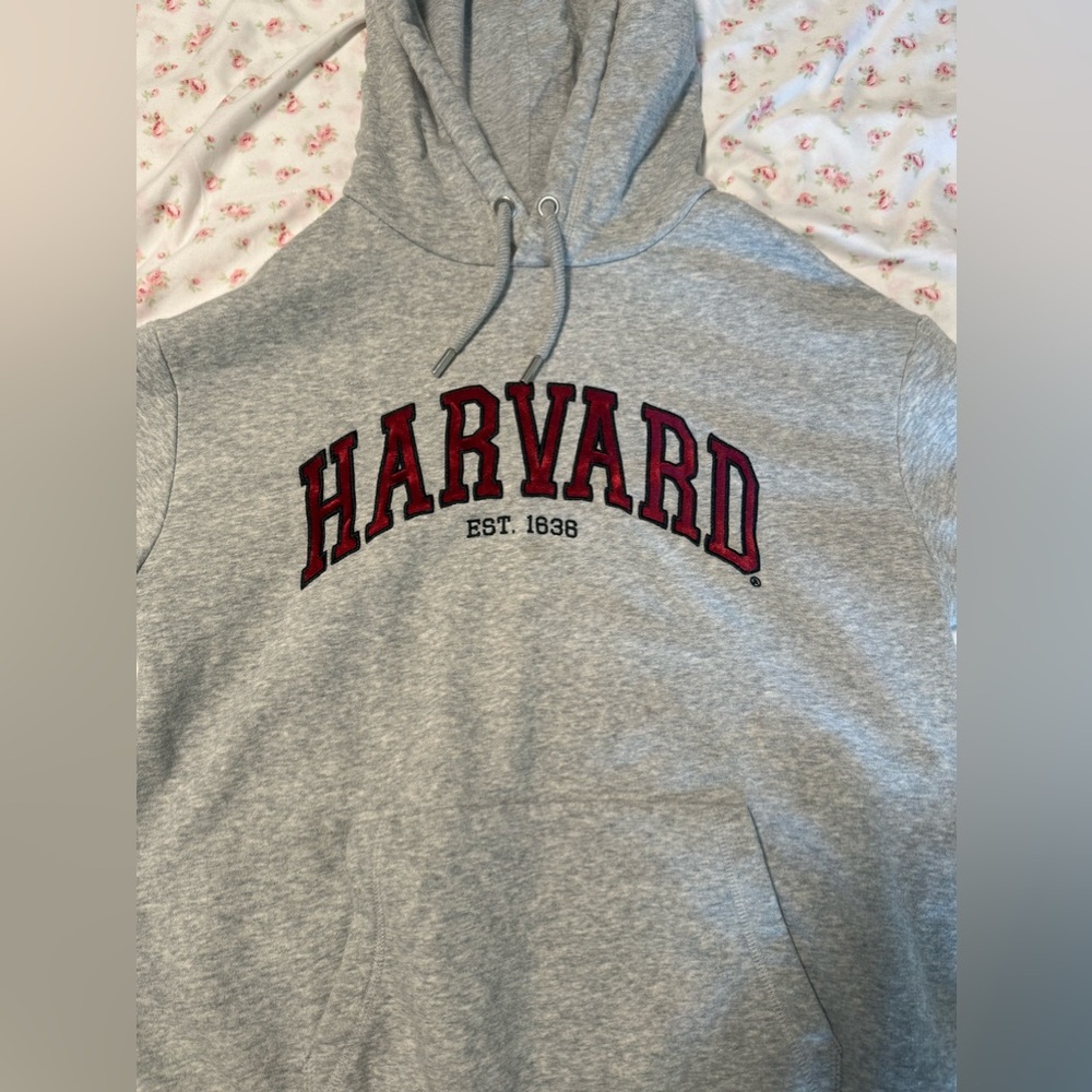 Grey Harvard Hoodie worn only once 
Women’s XS